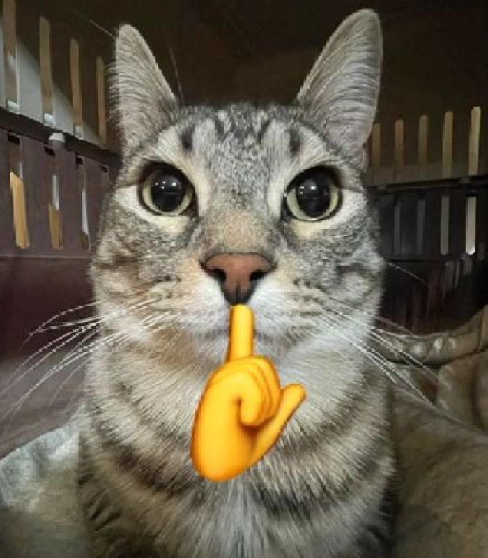 hàng xóm của Vương Lâm avatar