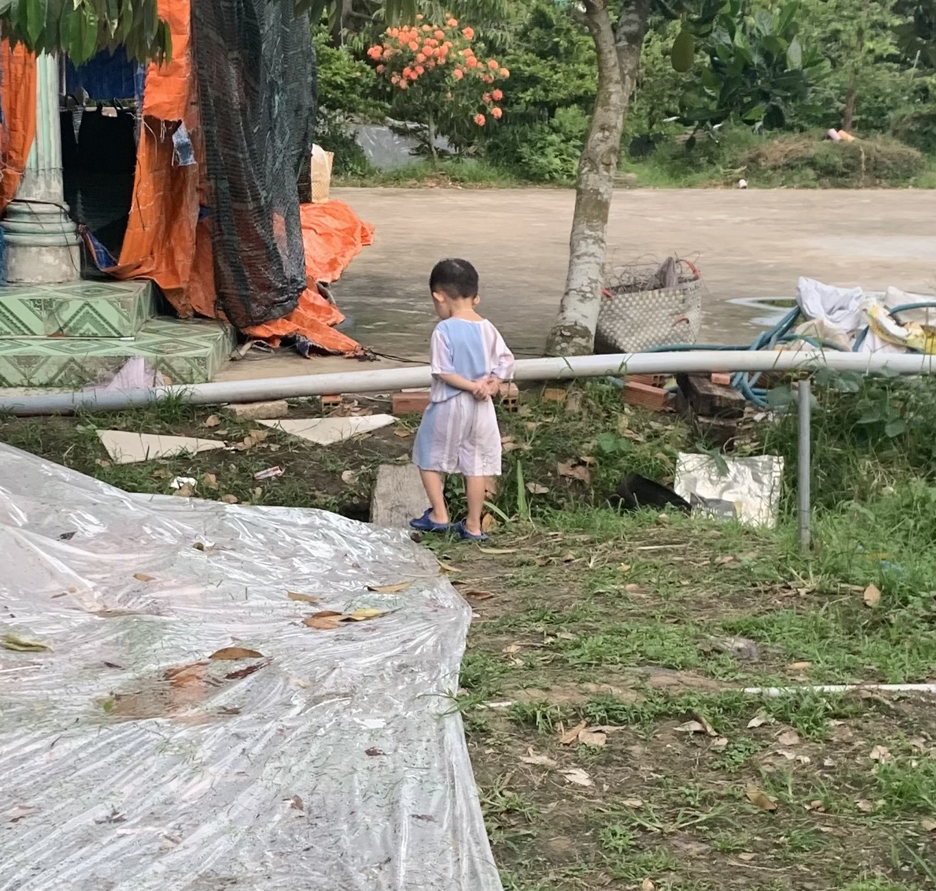 Vương Hoàng avatar