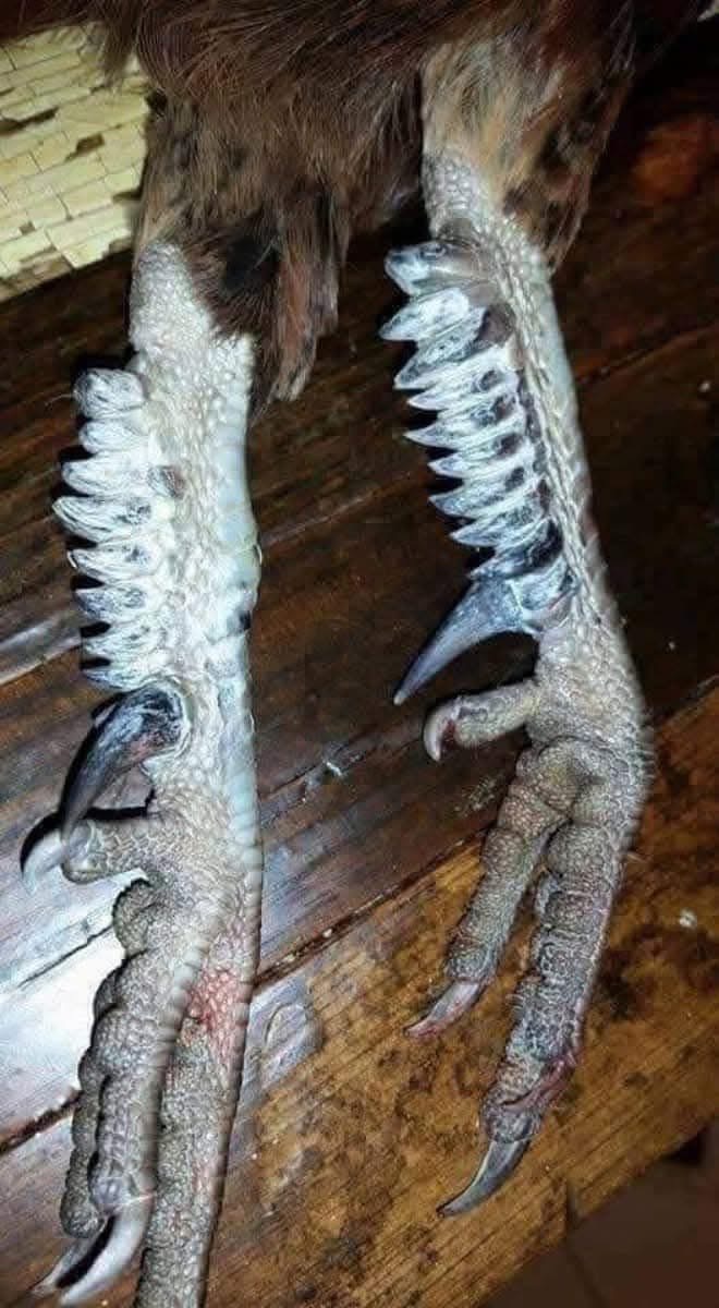 Tên chăn bò☺️🥳🫣🤔 avatar