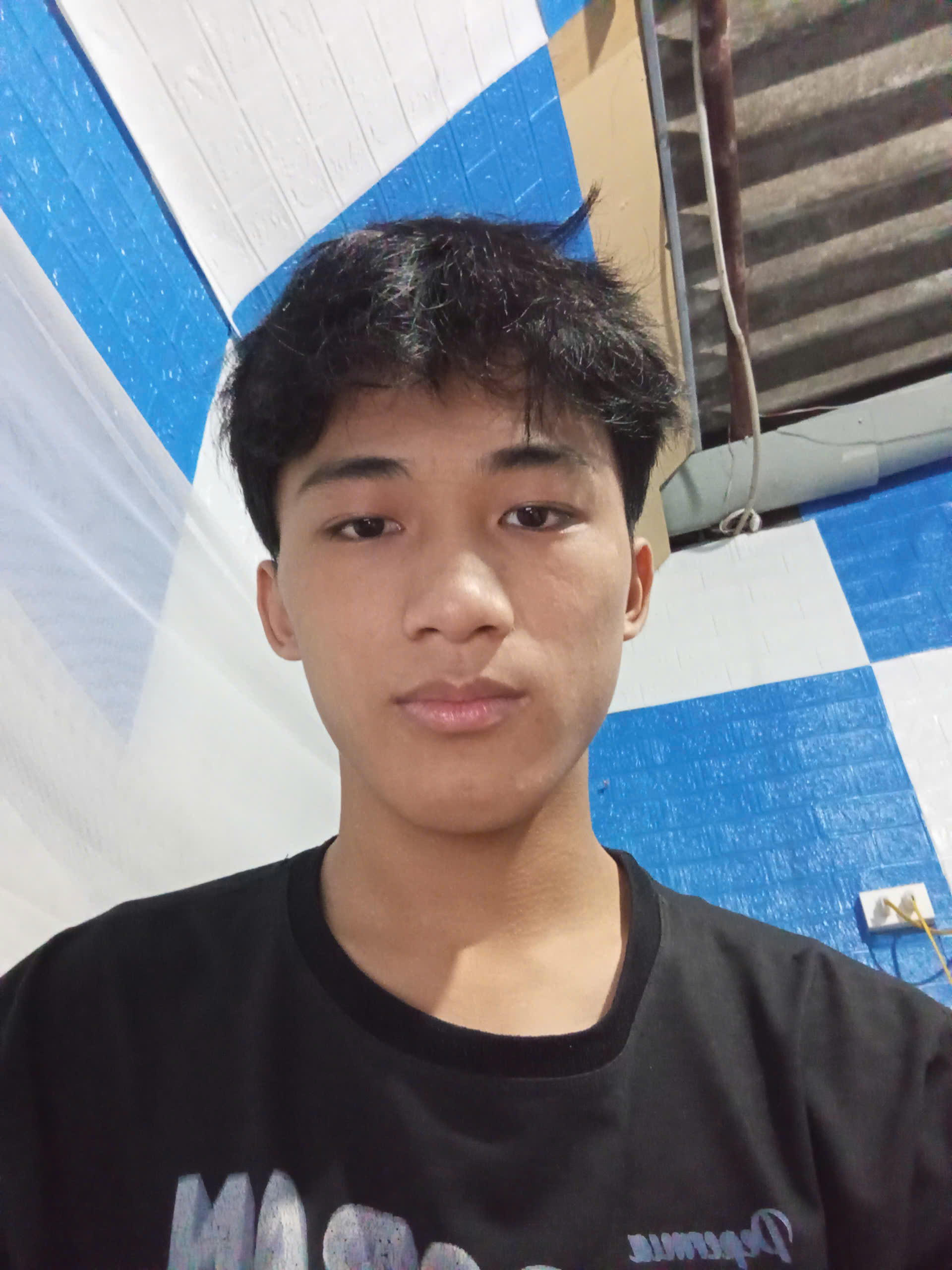 An mê 3d animations avatar