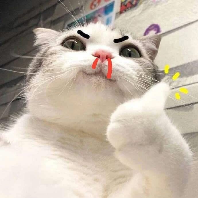 Cảnh Cảnh Dư Hoài avatar