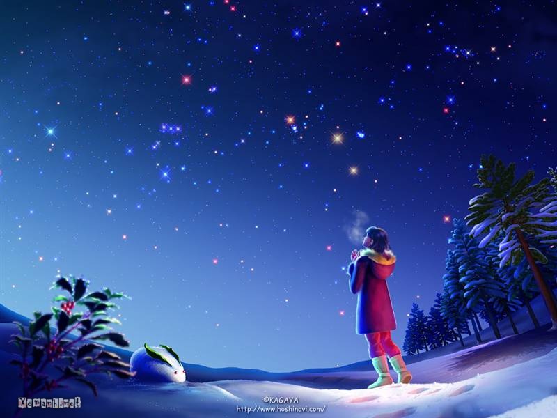 Hoang Minh Tue avatar