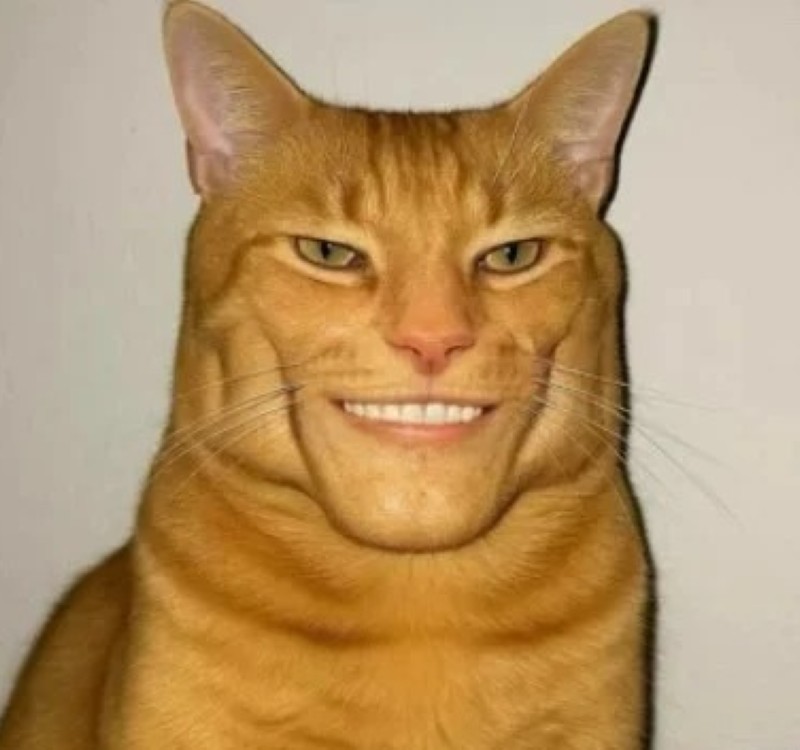 Ditnhamgaibanmeo avatar