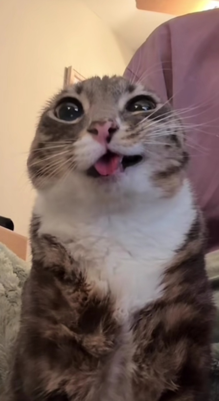 Duy lão tổ avatar